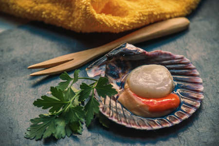 scallops or raw natural scallop in its shell on stoneの写真素材
