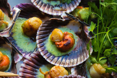 grilled scallops prepared in their shells in green sauce