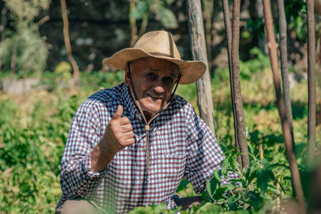 farmer in the garden with sign of success and approvalの写真素材