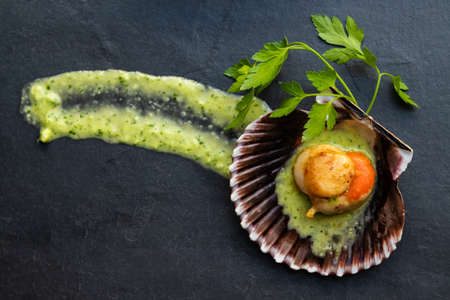 top view of scallops or scallops in their shell in green sauce
