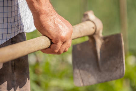 farmer hand with the hoe in the fieldの写真素材
