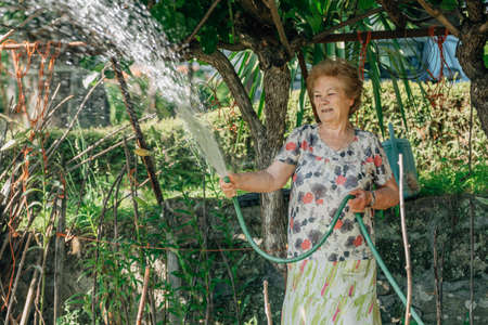 senior woman in summer watering the vegetable gardenの写真素材