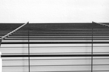 Metal cage texture isolated on white background