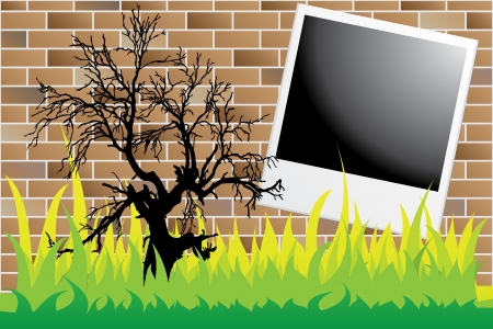 dead tree on brick wall with polaroidのイラスト素材