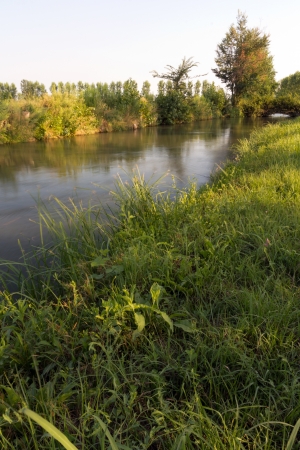 water course, stream of countryの写真素材