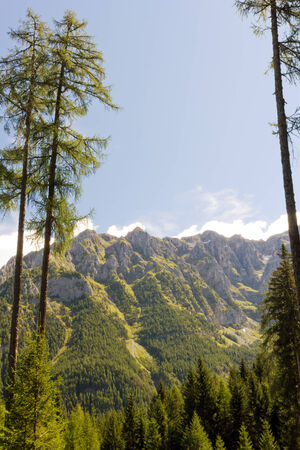 Adamello Natural Park, Dolomites, Italyの写真素材