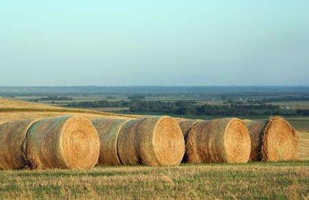 round bales; Schuyler, Nebraska