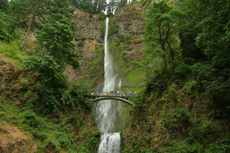 Multnomah Falls1の写真素材