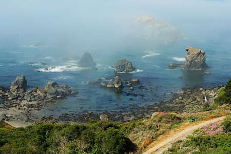 misty morning, oregonの写真素材