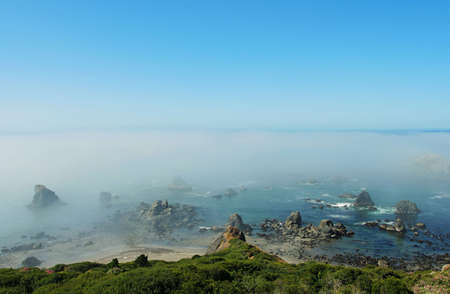 coastal fog, Brookings, Oregonの写真素材