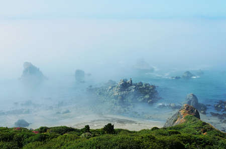 coastal fog2,  Brookings, Oregonの写真素材