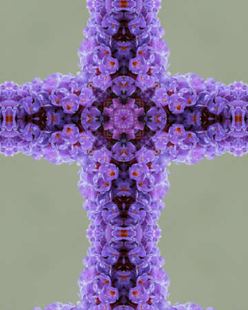 Kaleidoscope Cross:  Purple Butterfly Bush Blossomsの写真素材