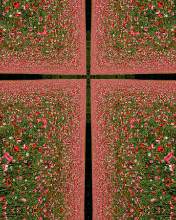Poppy Field, Kaleidoscope Cross