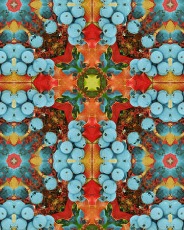 Oregon Grapes, Kaleidoscope Crossの写真素材