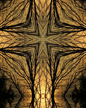 kaleidoscope cross5:  tree silhouette, Nebraska morningの写真素材