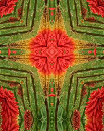 kaleidoscope cross:  red flowerの写真素材