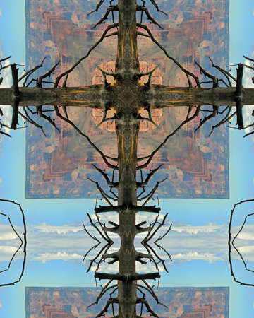kaleidoscope cross:  dead tree, Grand Canyon, Arizonaの写真素材