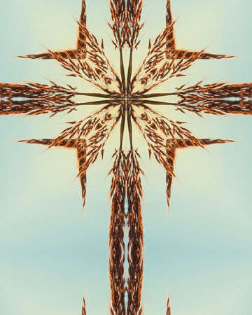 kaleidoscope cross:  Big Bluestem prairie grass2の写真素材
