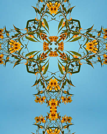 kaleidoscope cross:  sunflowers and blue skyの写真素材