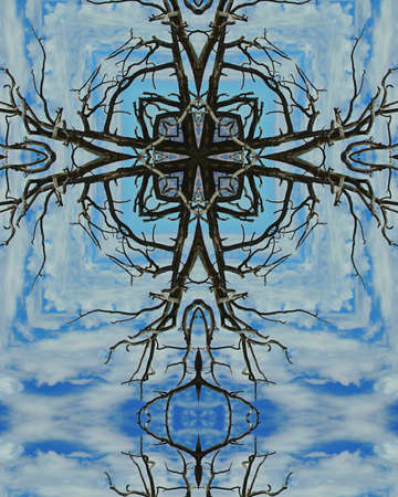 kaleidoscope cross:  Grand Canyon7, dead treeの写真素材