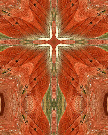 kaleidoscope cross:  Painted Desert, Arizonaの写真素材