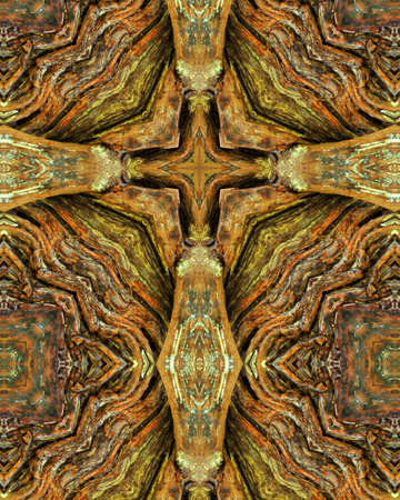 kaleidoscope cross:  redwood tree trunkの写真素材
