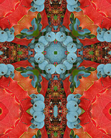 kaleidoscope cross:  Oregon grapesの写真素材