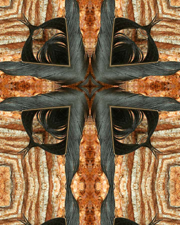 kaleidoscope cross:  crow feather stuck in Giant Sequoia barkの写真素材