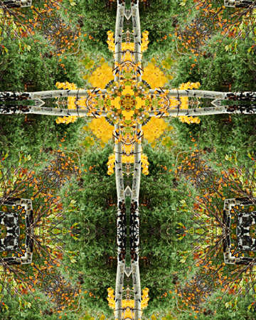Aspen Grove2 kaleidoscope crossの写真素材