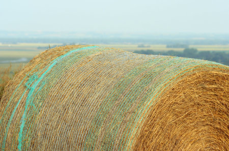 round bale; Schuyler, Nebraska