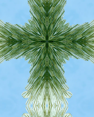 kaleidoscope cross:  ice layer on pine needles 5の写真素材