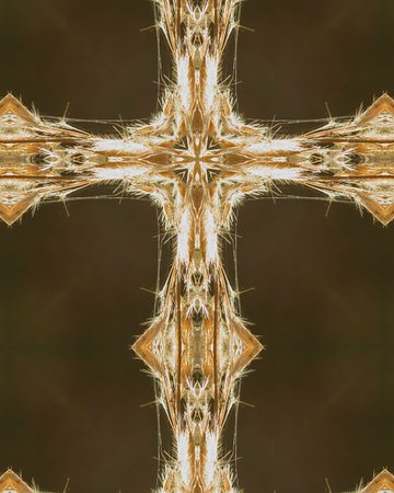 kaleidoscope cross: backlit brown plantの写真素材