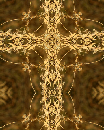 kaleidoscope cross: autumn plant with lacy brown leavesの写真素材