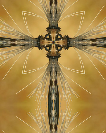 kaleidoscope cross: deer fur caught on barbed wire 3の写真素材