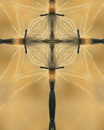 kaleidoscope cross: deer fur caught on barbed wire 2の写真素材