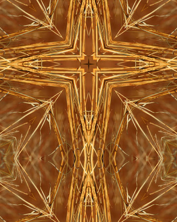 kaleidoscope cross: brown plant stalksの写真素材