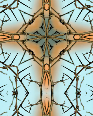 kaleidoscope cross: thorns on thorny locust tree 2の写真素材