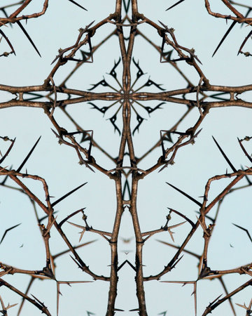 kaleidoscope cross: thorns on thorny locust treeの写真素材