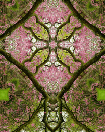 kaleidoscope cross: redbud tree, springの写真素材