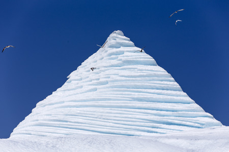 iceberg peak, seabirds, St  Anthony, Newfoundland, Canada