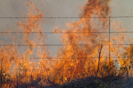 burning prairie grass, Flint Hills, Kansas