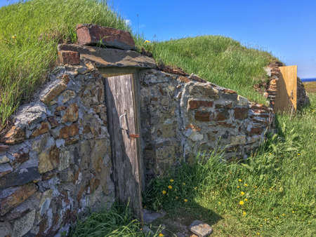 two root cellars in green grass, Newfoundlandの写真素材