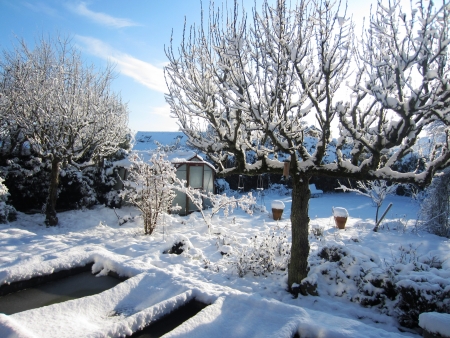 Snow Covered Garden Norfolk England の写真素材
