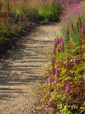 Beautiful colourful grassy border planted with flowers and different grasses in an Autumn garden in England with long gravel path with shadow in evening sunlightの写真素材