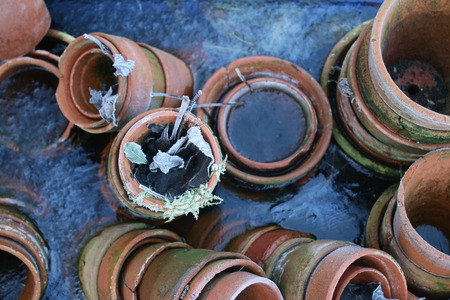 Close up from above of  vintage red antique earthenware clay pots trapped in frozen ice stacked in seed trays filled with solid ice trapping plants, frost icy cold freezing Winter weatherの写真素材