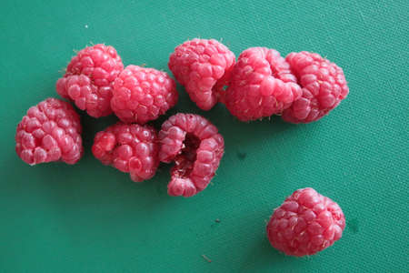 Close up of raspberries the fresh juicy fruit berries harvested from organic garden bush home grown...