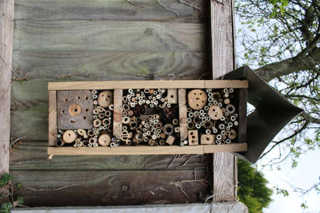 Close up of bee hotel fixed to wood fence near blossom, made from recycled timber, branches and home...