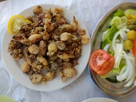 Fried squid with breadcrumbs on a white plate with salad