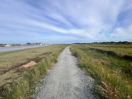 Beautiful landscape of Suffolk coast walk on path near Walberswick Southwold, uk no people, with...