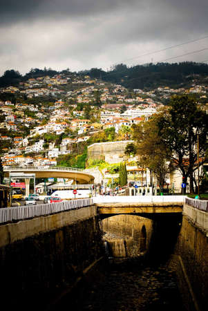 Madeiraの写真素材